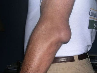 Картинка продукта